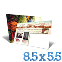 5.5 x 8.5 Postcard Printing